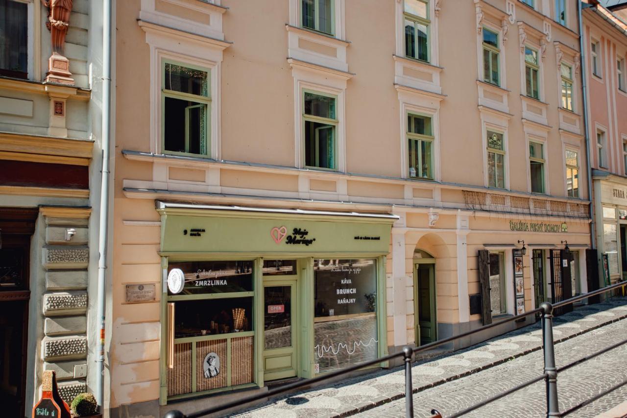 Priestranny Apartman Moja Marina V Srdci Stiavnice Banská Štiavnica Exteriér fotografie